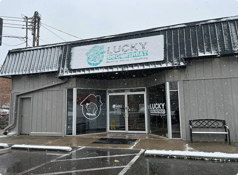 Lucky Dog Retreat boarding