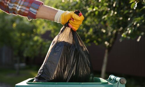 Residential Bin Cleaning in