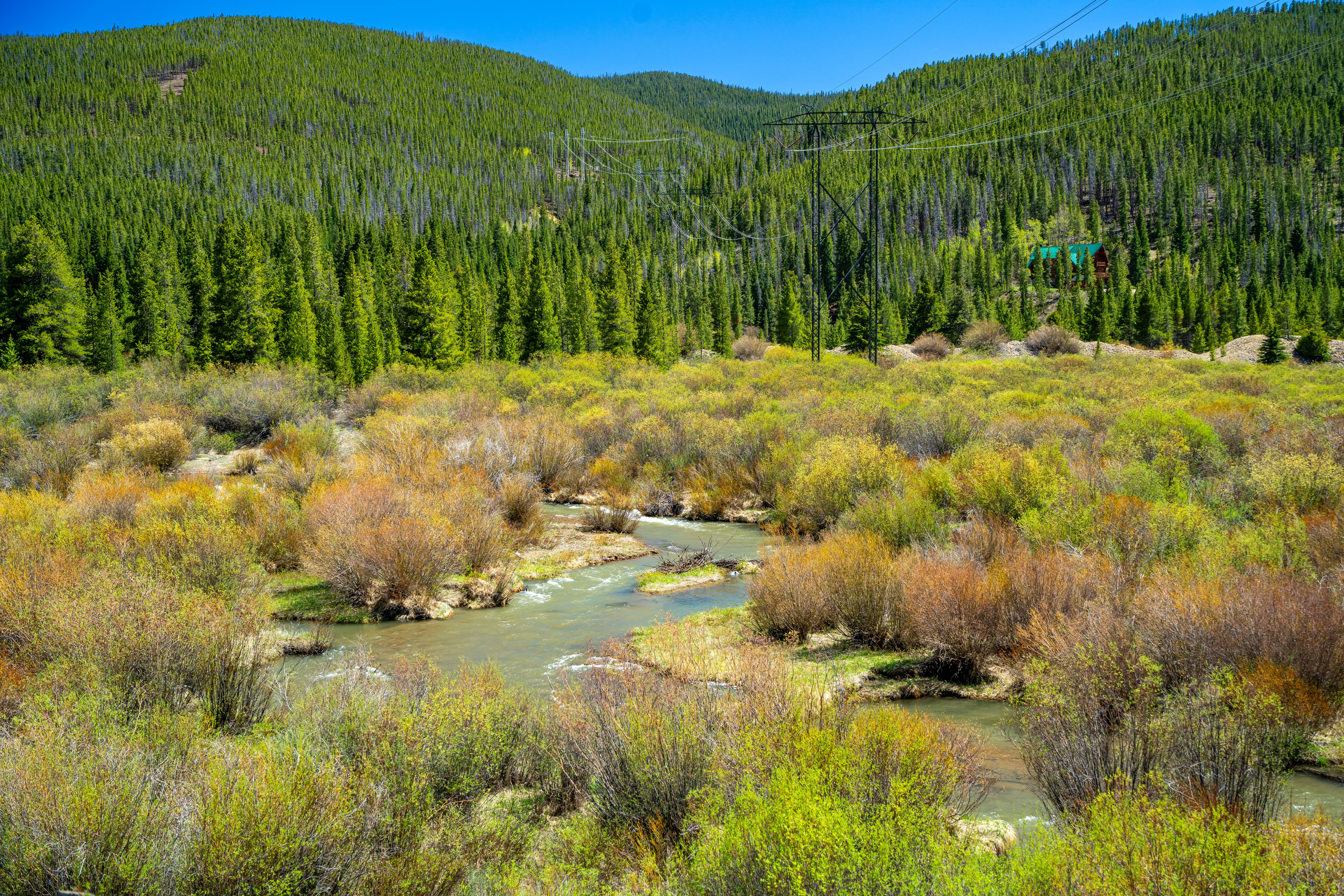Cheap Car Rental Colorado Springs, CO: Your Complete Guide to Affordable and Reliable Rentals