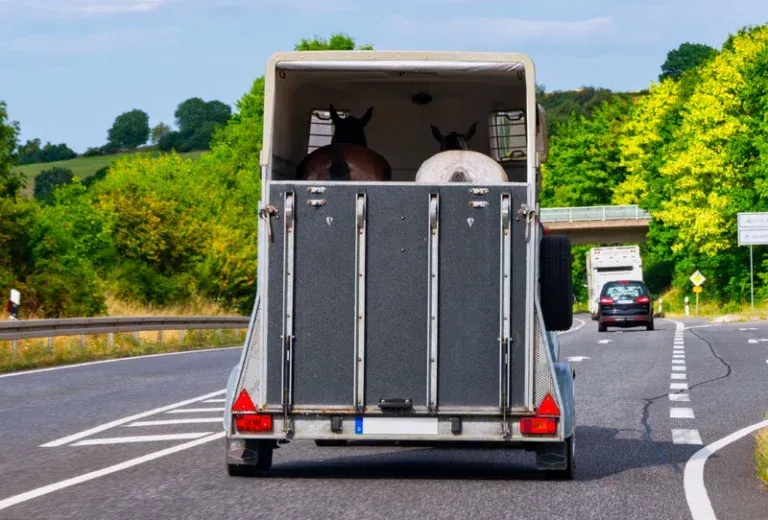 Technician performing interior and exterior RV detailing service on motorhome in St Charles Missouri