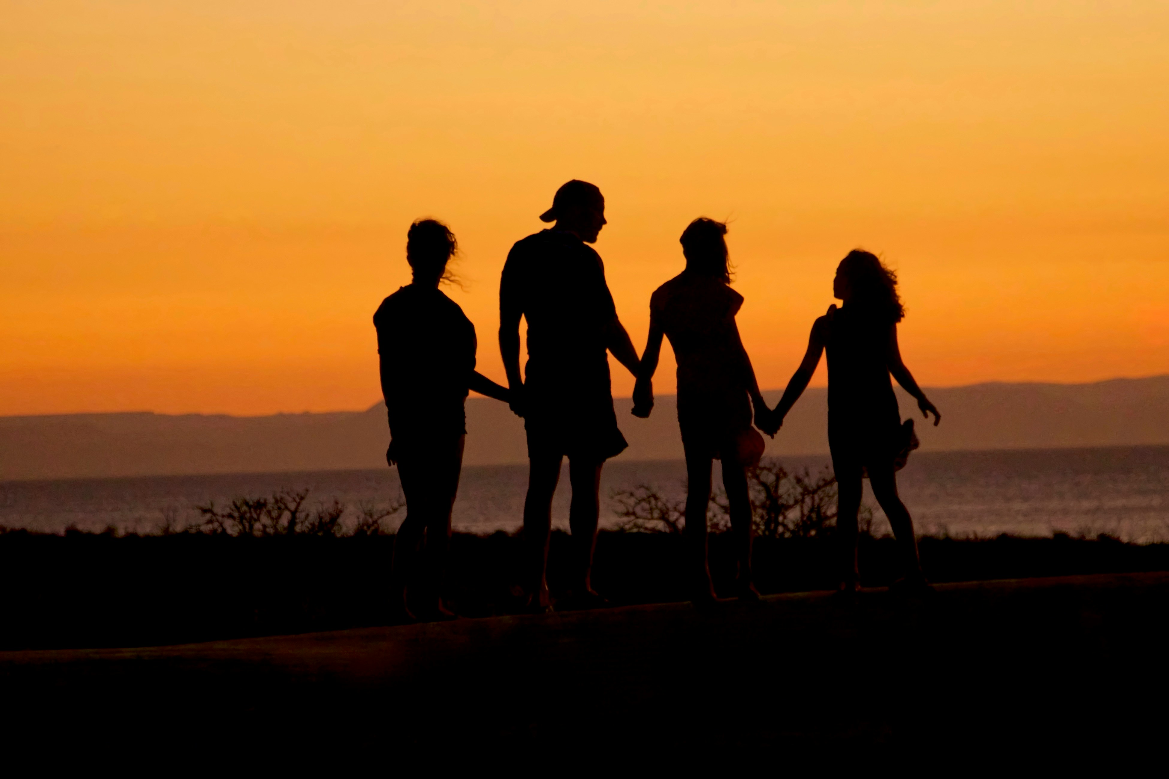 Comprehensive Family Insurance Plans