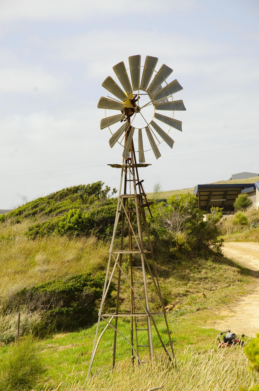 Counselor representing the story of Numa practice