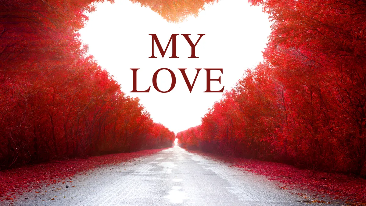 My Love