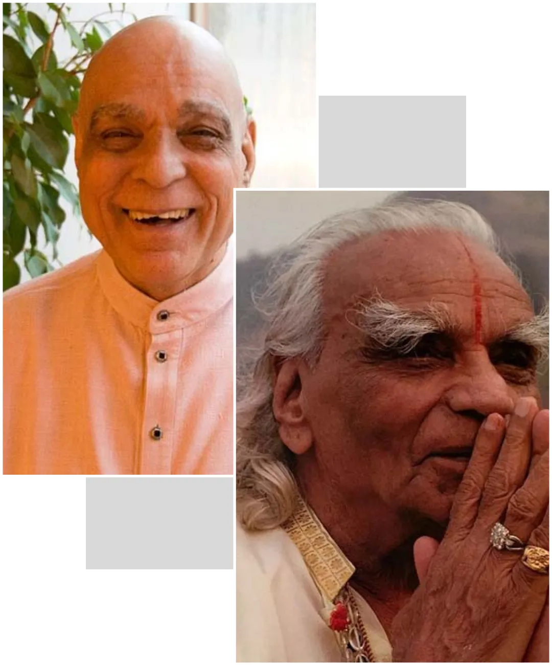 Sri Krishan Lal Mantriji Biography BKS Iyengar Bio