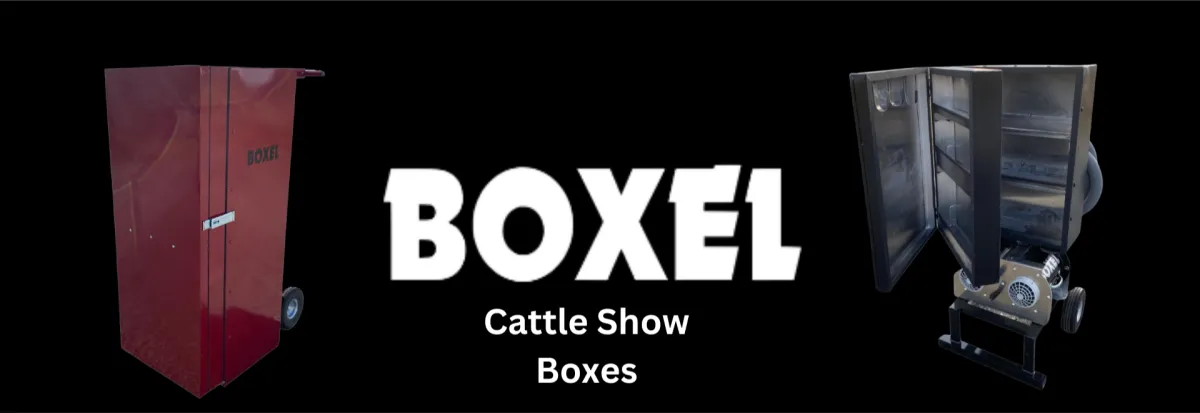 Cattle Show Boxes