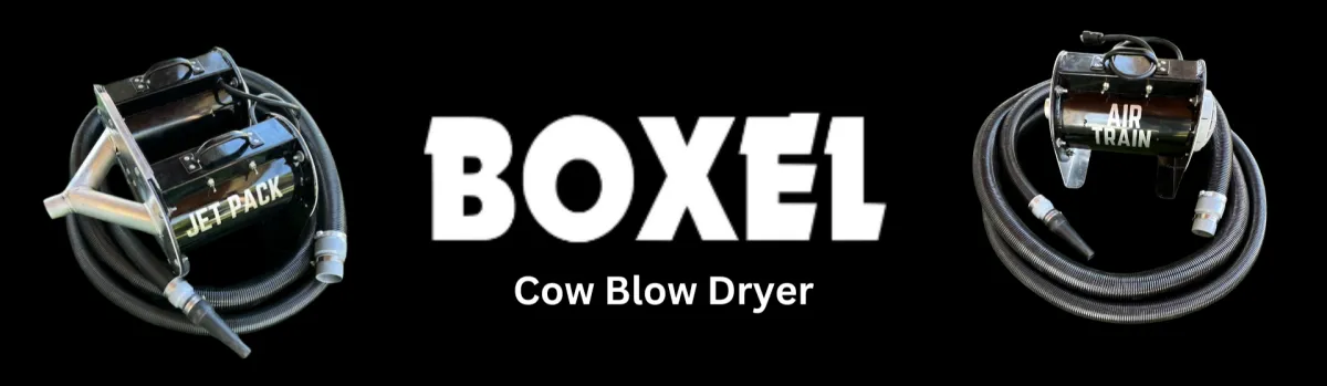cow blow dryer