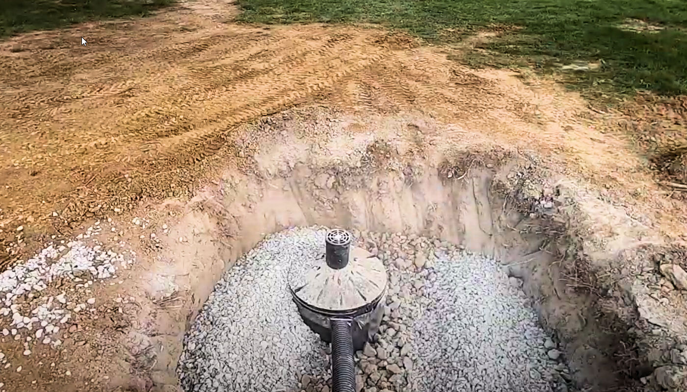 woman holding white mug while standing
