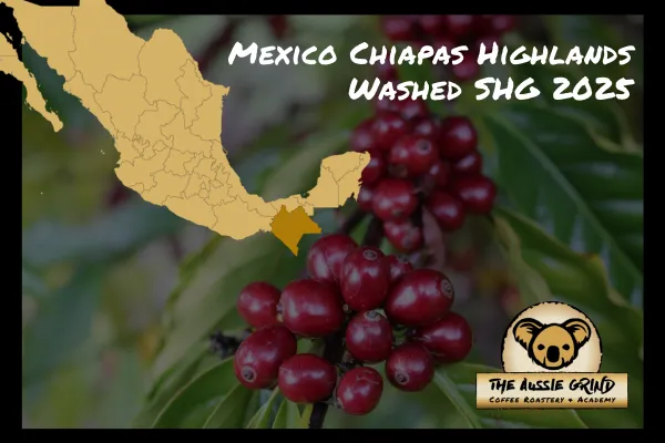 Meet the Bean in Your Cup Right Now