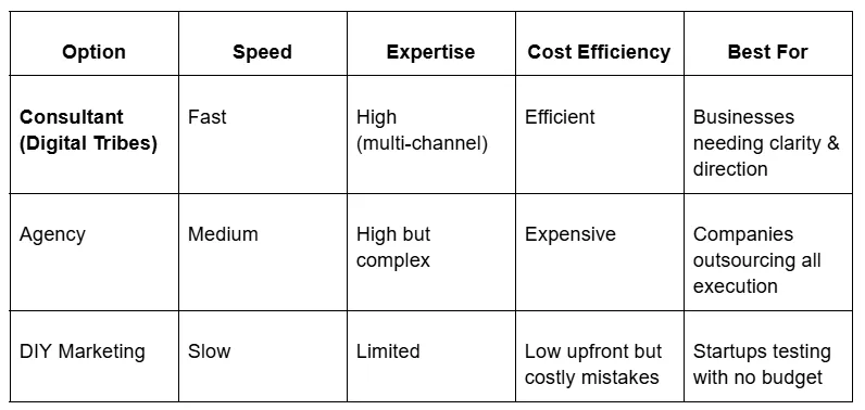 Consultant vs Agency vs DIY Marketing