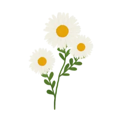 eine Blume