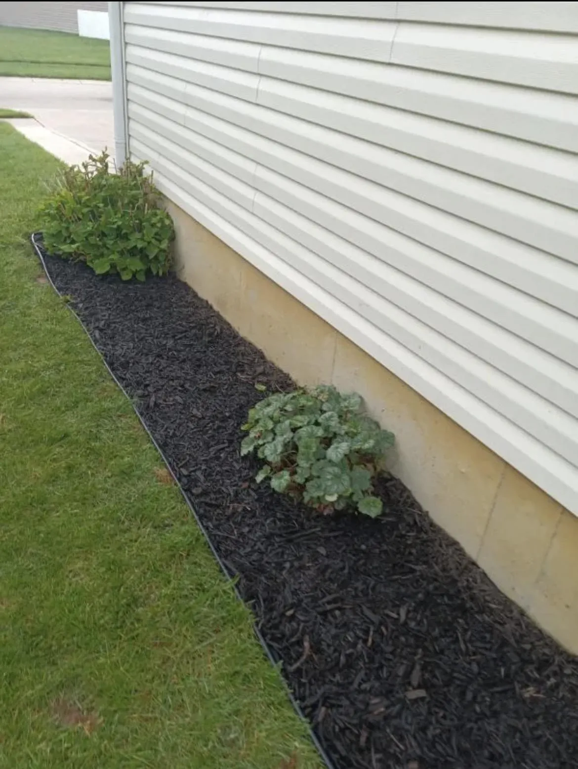 Luxury Vinyl Plank Flooring