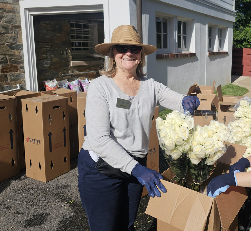 Volunteer at the Flowers of Remembrance