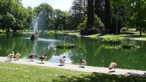 Composite family deck with patio furniture in Land Park Sacramento