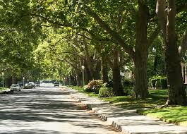 Cedar deck installation for bungalow in East Sacramento