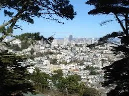 Contemporary composite backyard deck in Noe Valley San Francisco