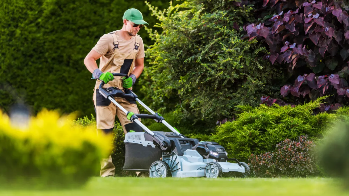 gardeners sunshine coast qld