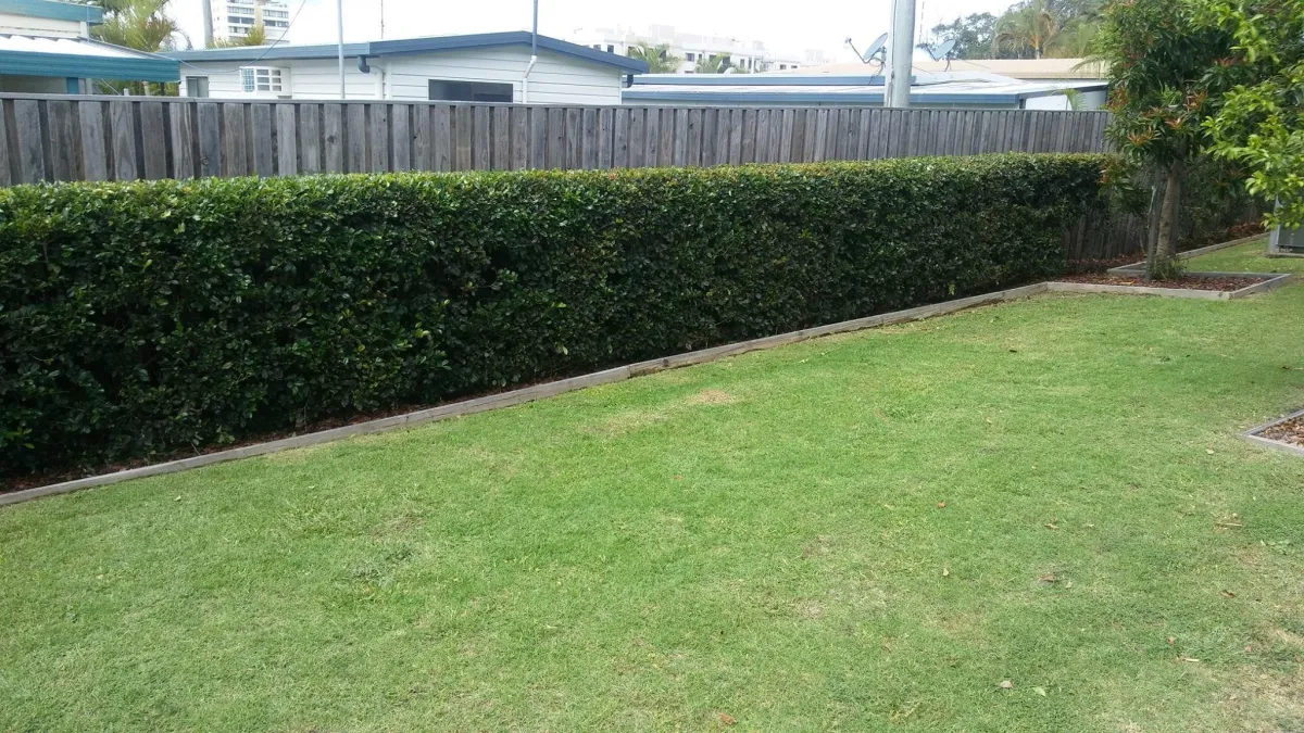 gardeners sunshine coast​
