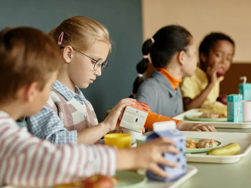 School and College Catering