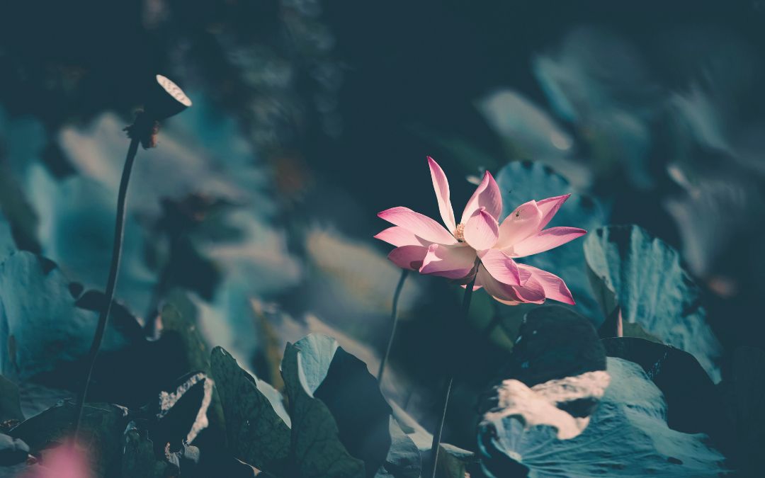 The Economics of Enough: Sustainable Pricing for Sacred Work