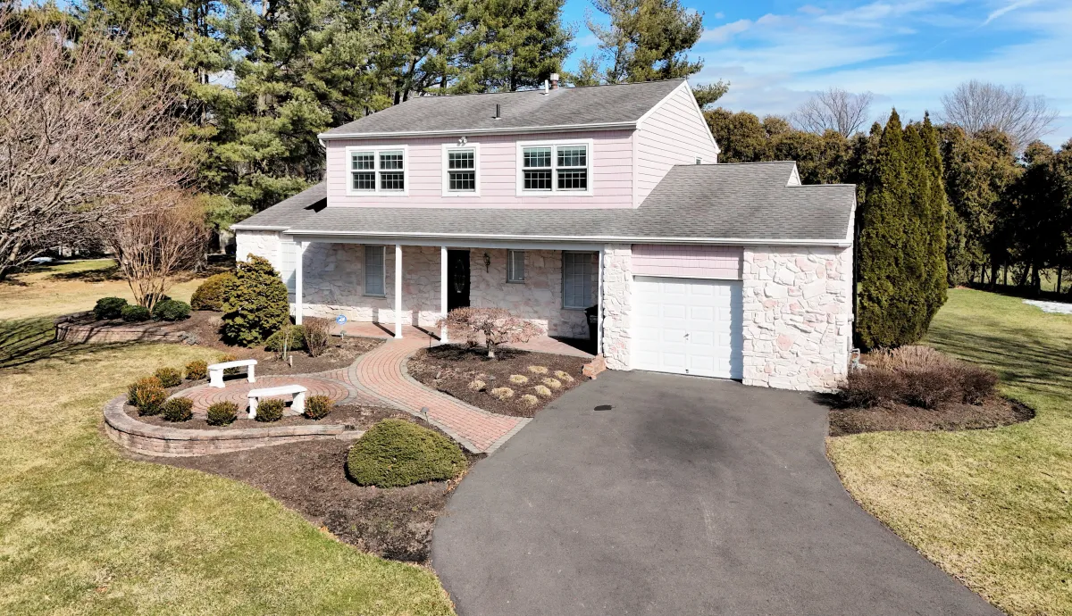 Local Expertise- Alexis Cohen