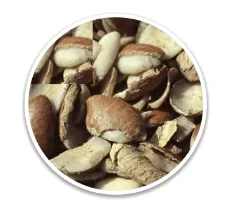 Alpilean Dika Nut