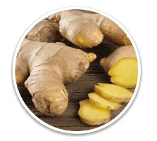 Alpilean Ginger Rhizome​