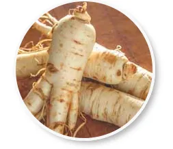 BeLiv Ginseng