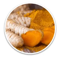 Alpilean Turmeric Rhizome