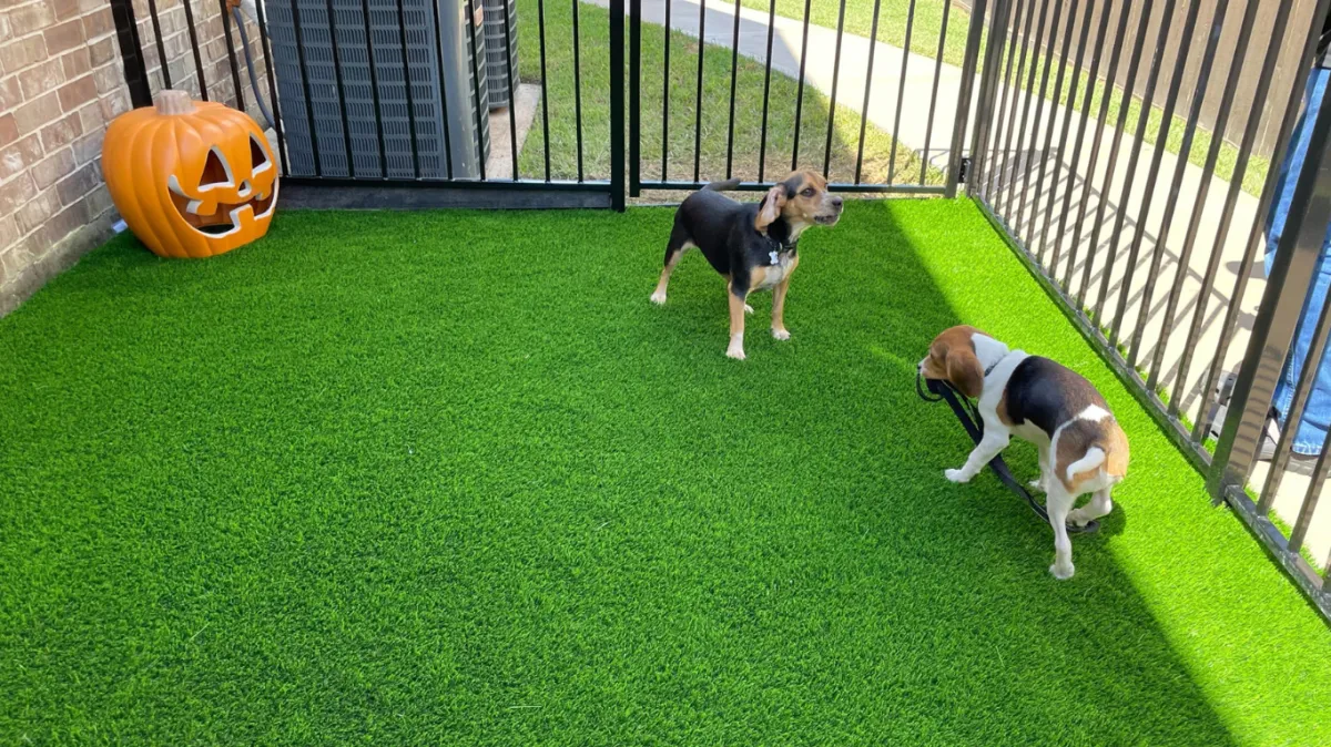Katy Artificial Grass install and builds in Katy, Texas