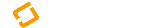 PROTELI NYC IT Services Provider Logo
