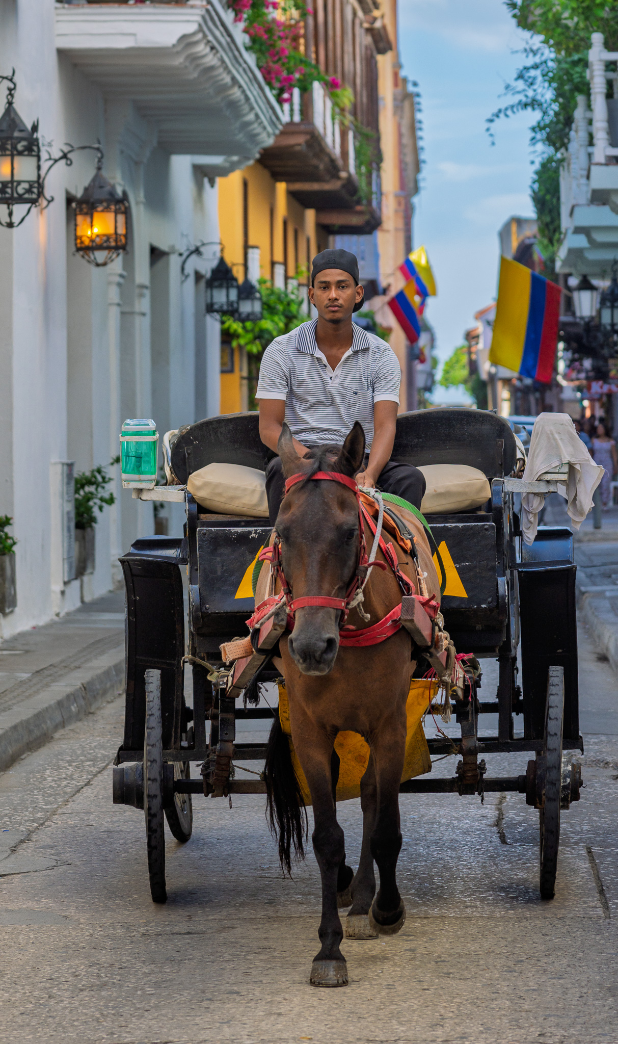 Horse-drawn carriage with a driver navigating a colonial-style street lined with historic buildings