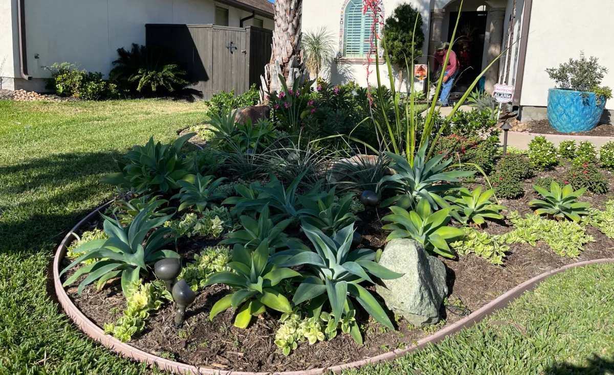 Landscaping Corpus Christi