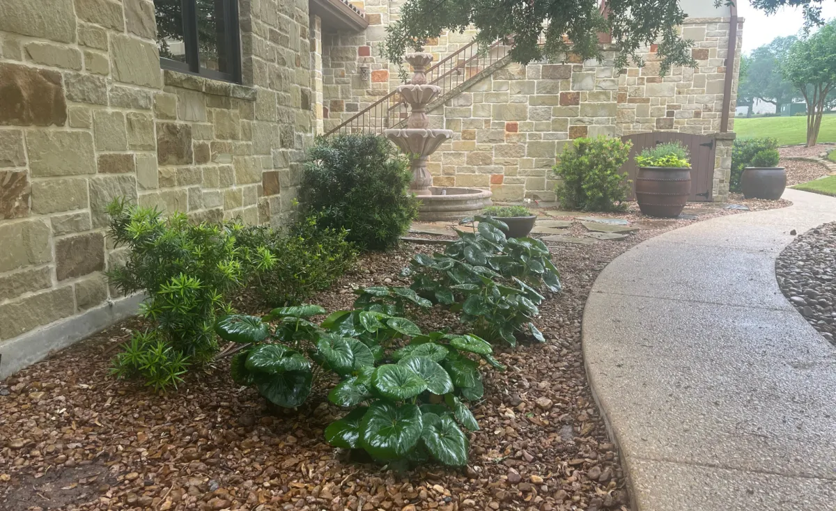 Outdoor Kitchens Corpus Christi