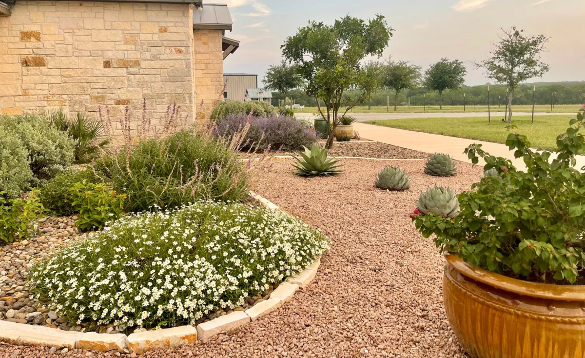 Lawn and Flower Bed in Corpus Christi