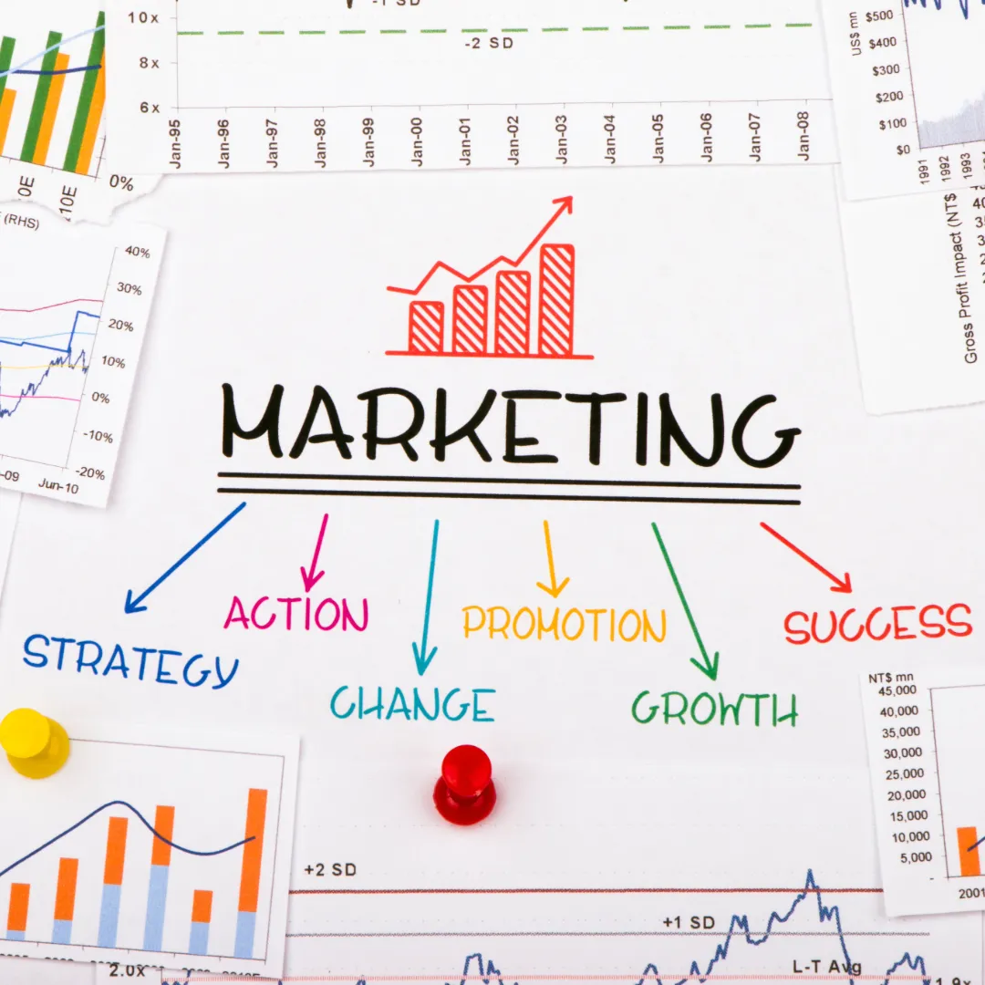 A graphic representation of marketing audit including strategy, action, change, promotion, growth and succss