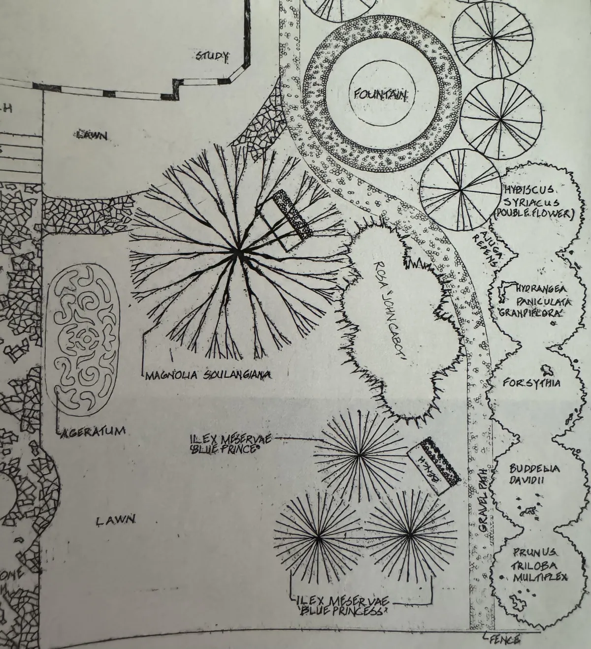A hand-drawn landscape design plan with labeled trees, plants, pathways, and a central fountain.