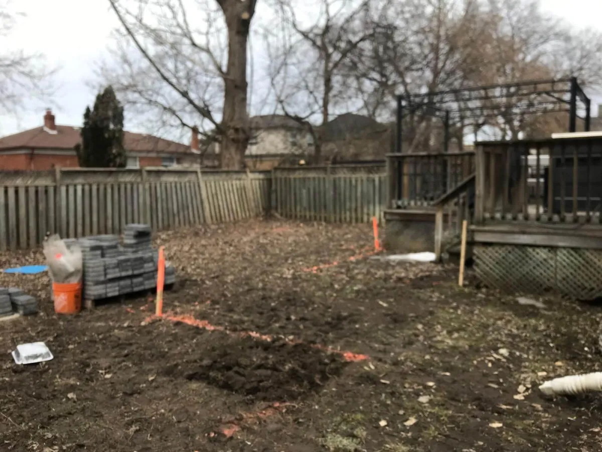 neglected yard