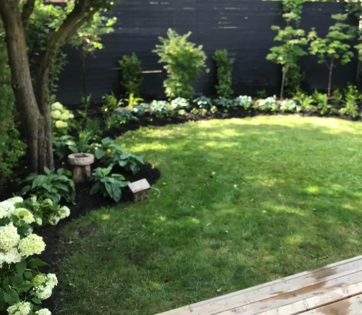 lush green escape