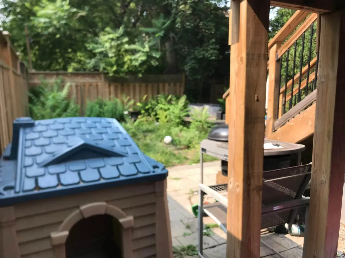cluttered backyard