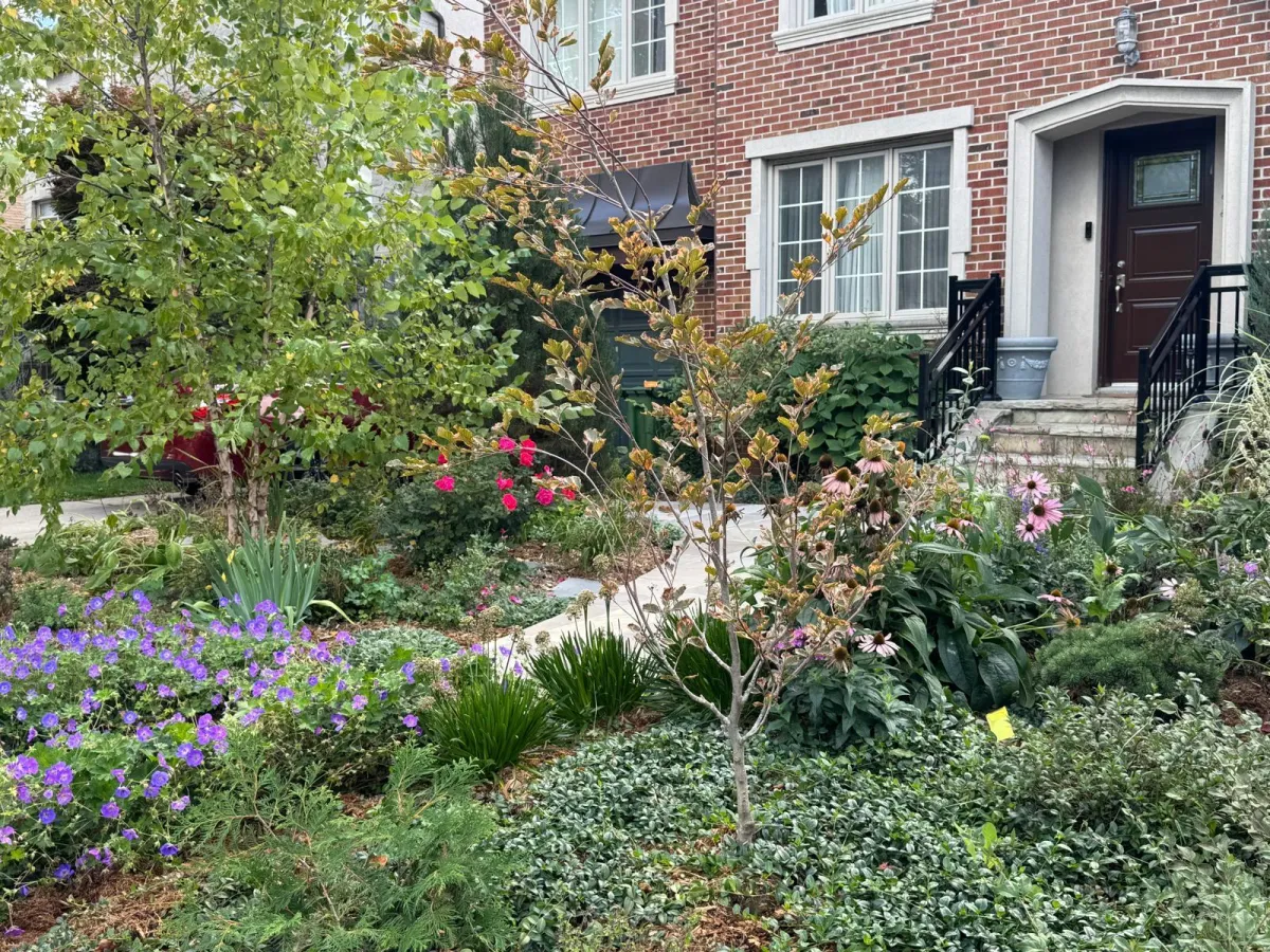 Entrance Garden Design