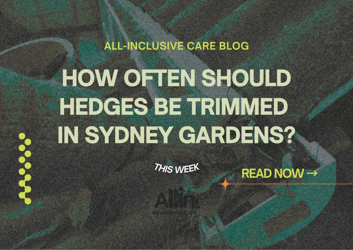 hedge-trimming-sydney-garden-maintenance