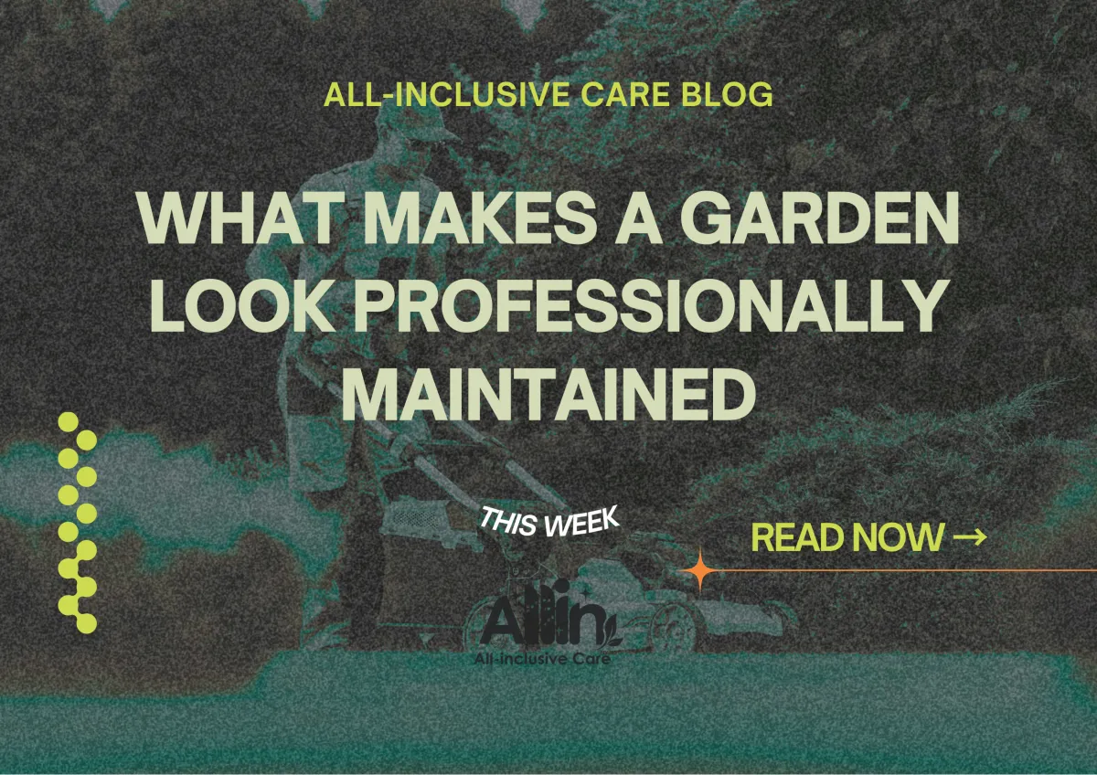 What Makes a Garden Look Professionally Maintained?