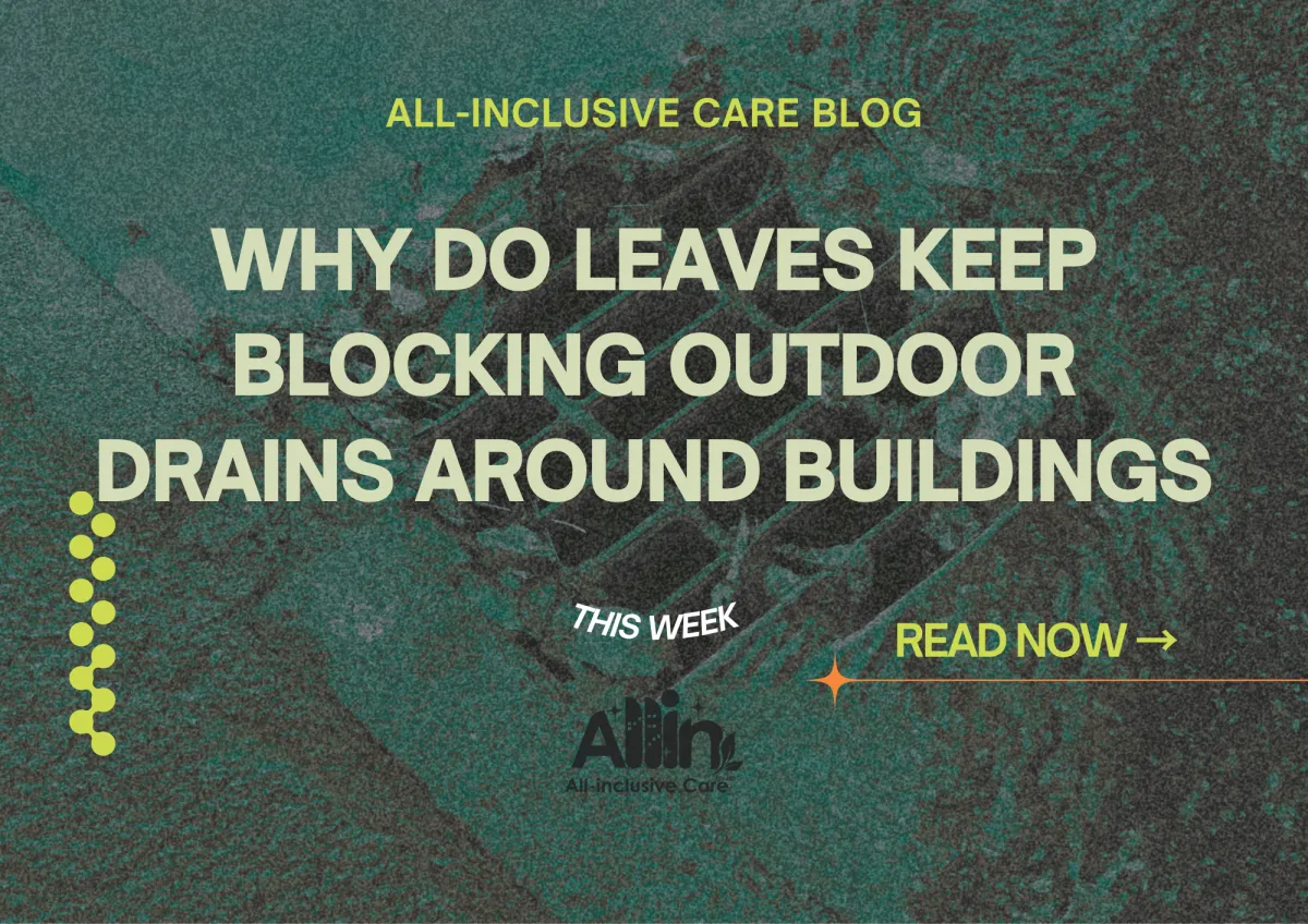 🍂 Why Do Leaves Keep Blocking Outdoor Drains Around Buildings?