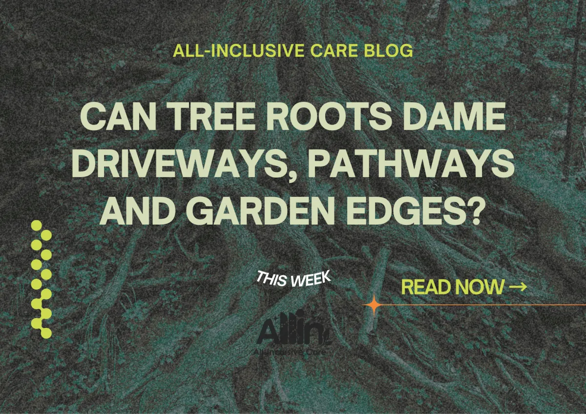 🌳 Can Tree Roots Damage Driveways, Pathways and Garden Edges?
