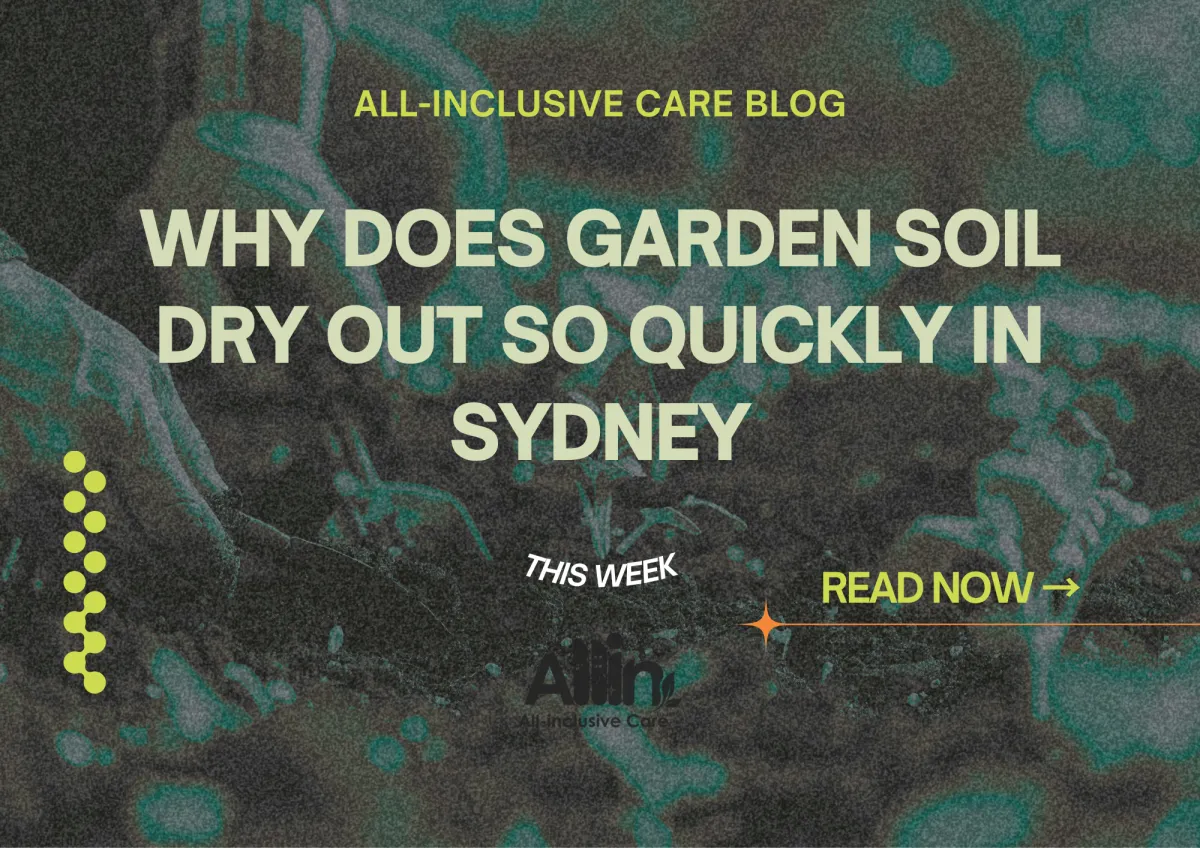 🌿 Why Does Garden Soil Dry Out So Quickly in Sydney?