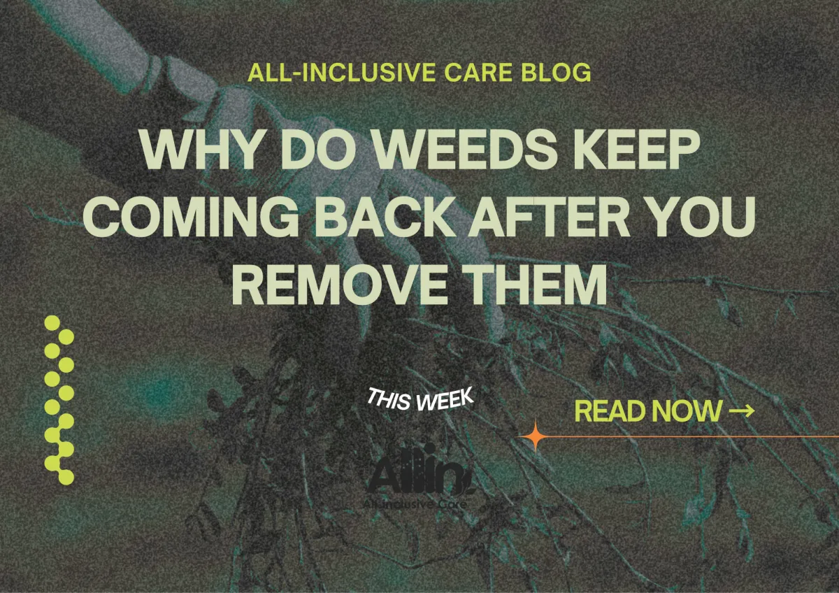 🌿 Why Do Weeds Keep Coming Back After You Remove Them?