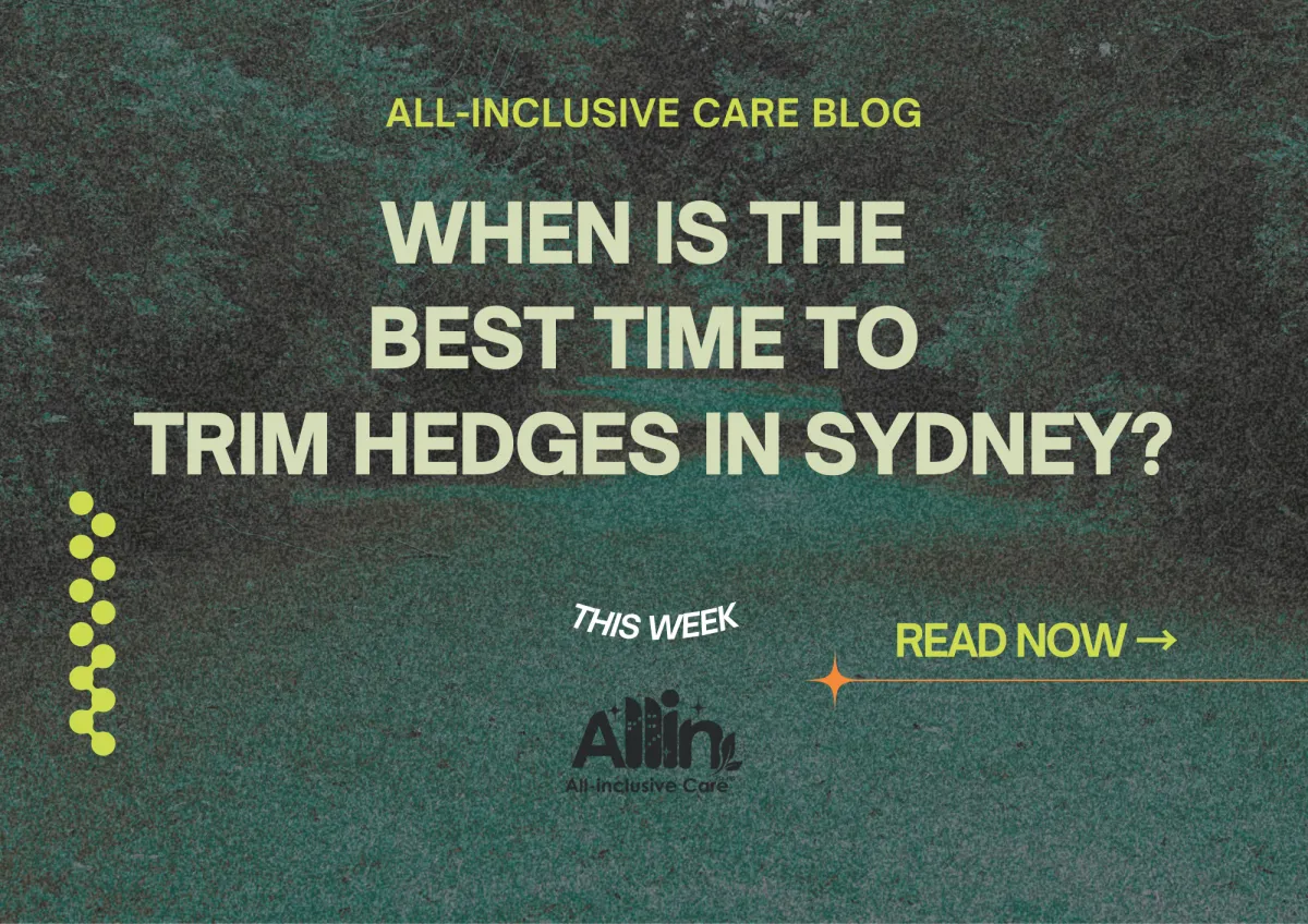 🌿 When Is the Best Time to Trim Hedges in Sydney?
