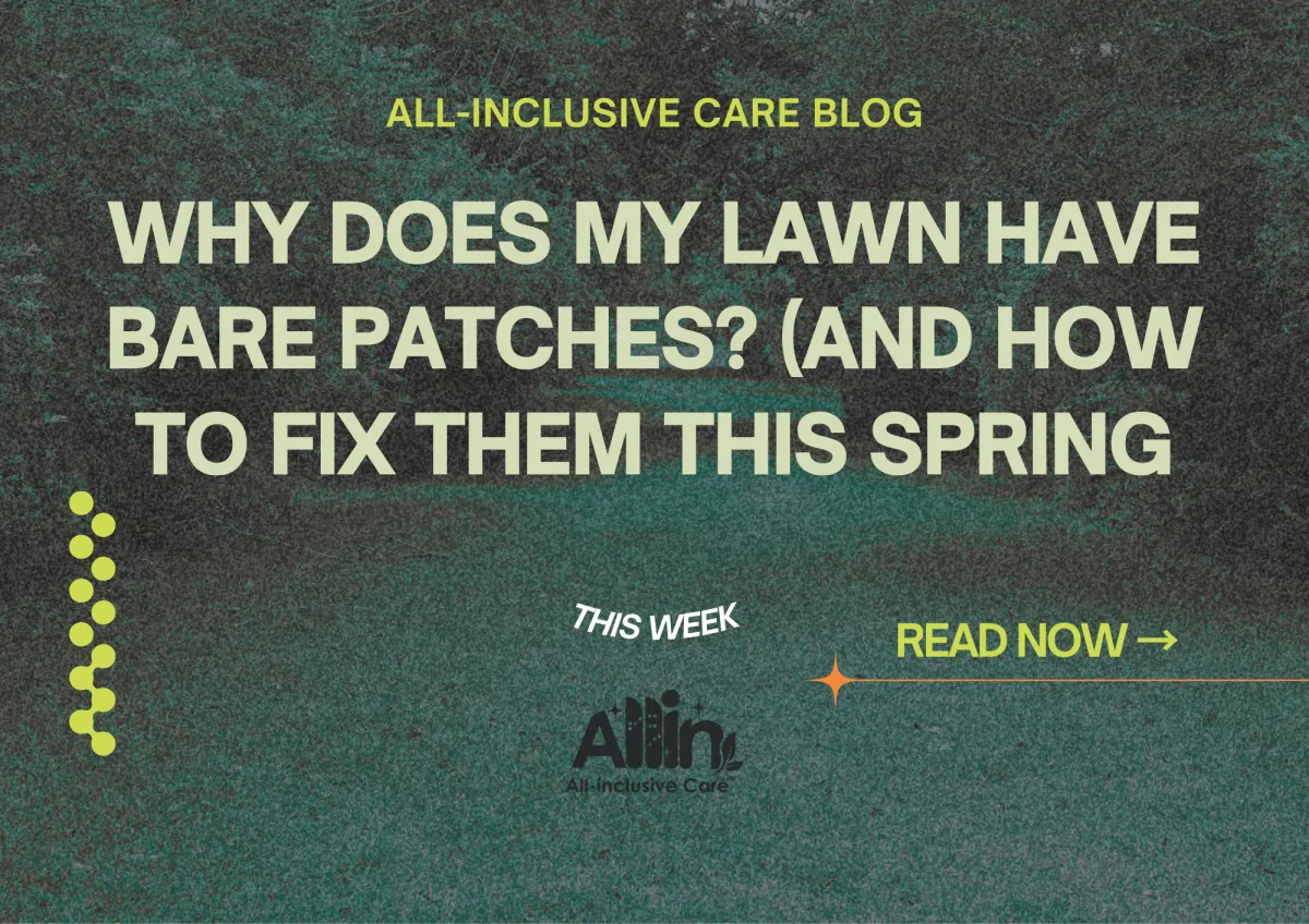 🌱 Why Does My Lawn Have Bare Patches? (And How to Fix Them This Spring)