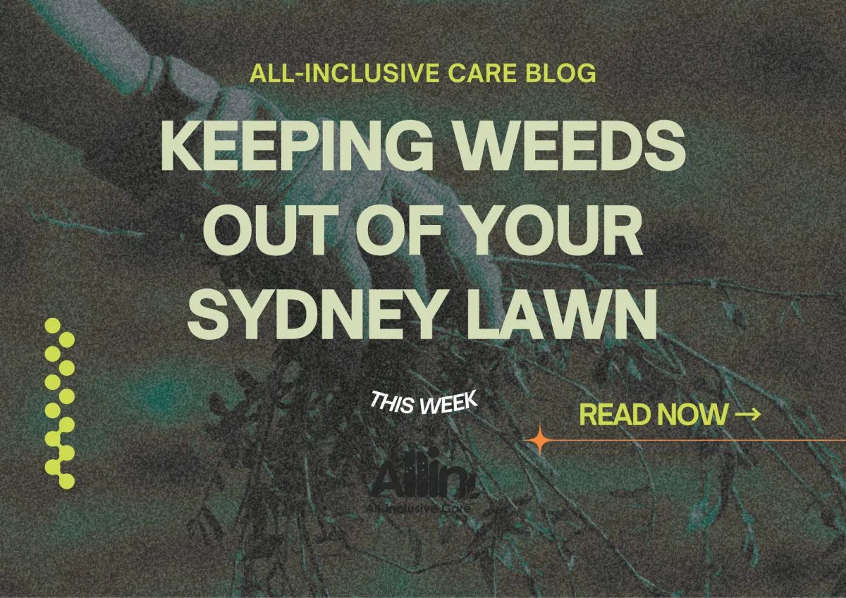🌱 Keeping Weeds Out of Your Sydney Lawn: A Practical Spring Guide