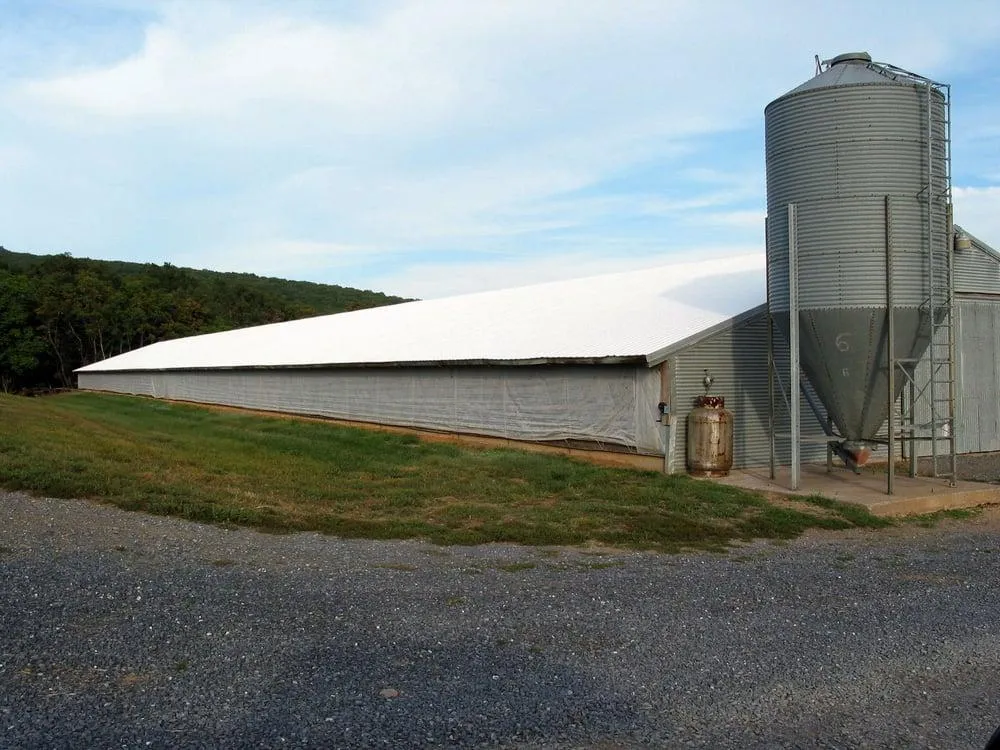 top-notch roof coating services